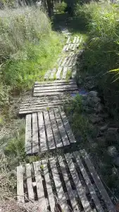 Веселый Маныч - 28