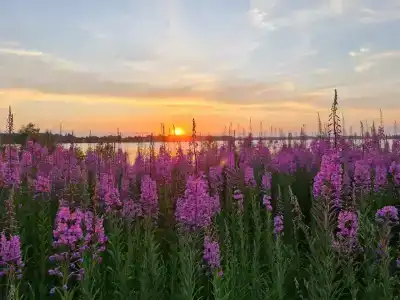 Банный Остров - 30