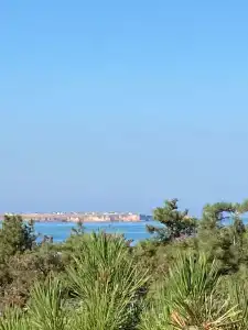 Песчаный берег - 27