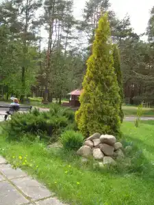 Череха - 19
