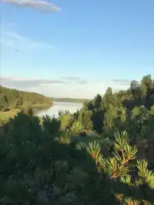 Вареновка - 90