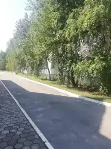 Олимпия - 8