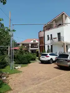 Кипарис - 11