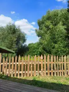 У Борисыча - 48