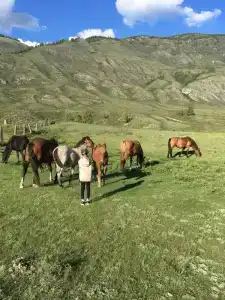 Тайгала - 20