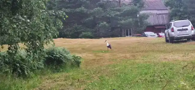 Дом отдыха - 1