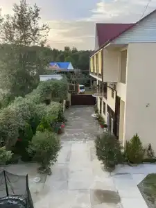 Пальма - 21