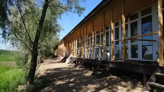 Берег мечты - 37