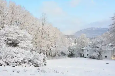 Tannenhof - 49