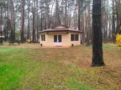 Лесная7 - 8