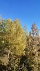 Руза - 99