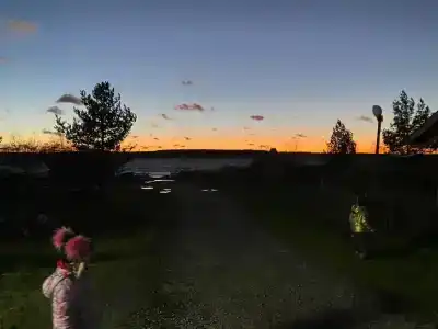 Мантиансаари - 80