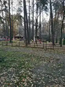 Лесная сказка - 97