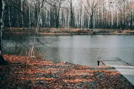 Фазенда - 14