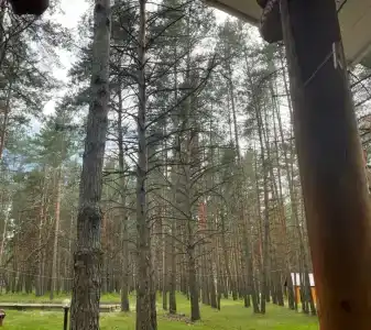 Усадьба - 67