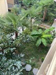 Green Garden - 20