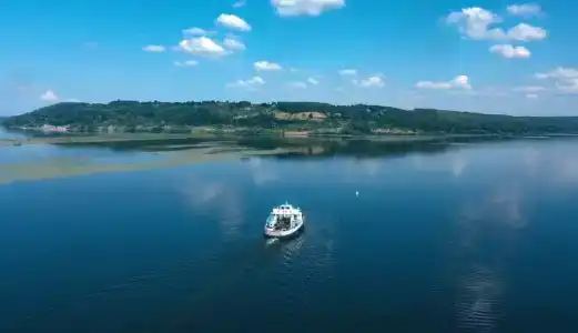 Снегири - 9