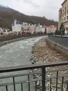 Голден Тюлип - 67