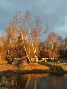 Бородино - 4