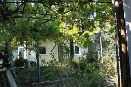 у Валентиныча - 2