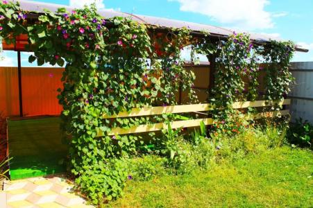 Простоквашино на Азове - 33