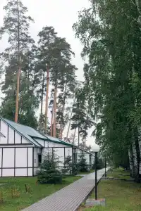 Галдым - 33