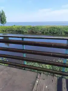 Мишкина Дача - 9