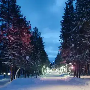 На Вотчине - 58