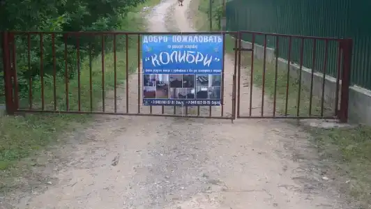 Колибри - 21