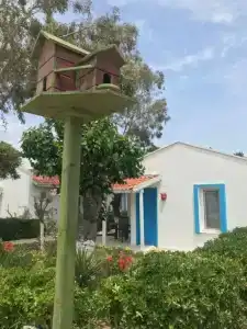 Teos Ormanci Tatil Koyu - 2