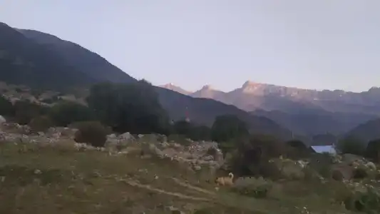 Камата - 15