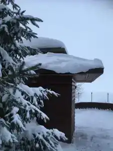 Альбатрос - 27