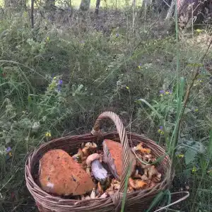 Вазуза Кантри Клаб - 32