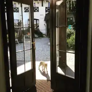 Старая Провинция - 36