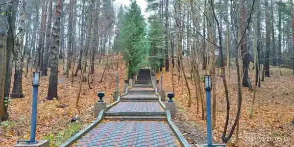 Белое солнце - 60