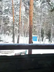 Меркурий - 17