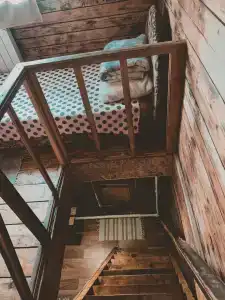 Линевский берег - 73