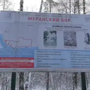 Усадьба - 63