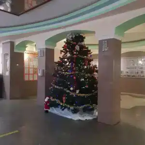 Сосновый - 19