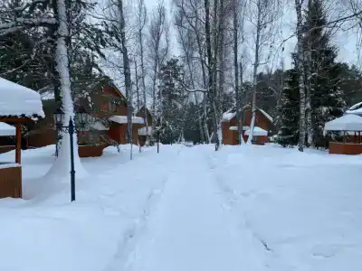 Березовая роща - 63