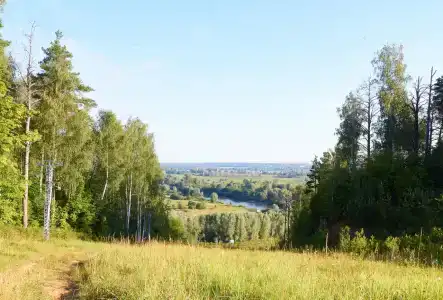 Дзержинец - 49