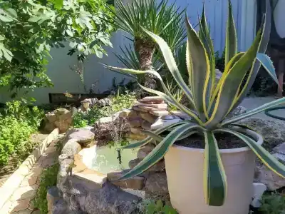 Вилла Гармония - 15