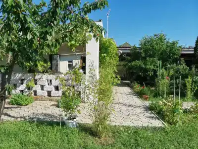 Лонисера - 21