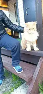 Четыре сезона - 54