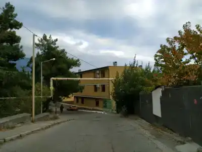 Эдельвейс - 3