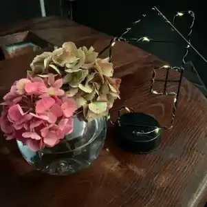 AeroLive - 2