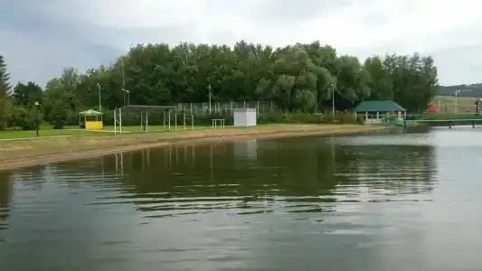 Дружба - 8
