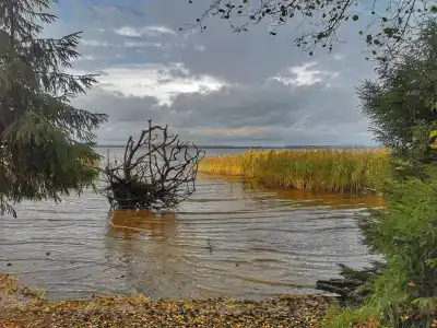 Спарта - 88