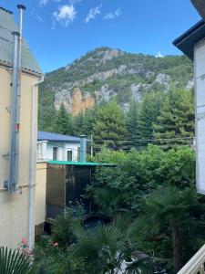 Green Garden - 14