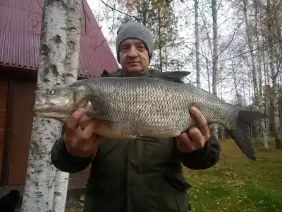 Дом рыбака Большая Медведица - 27